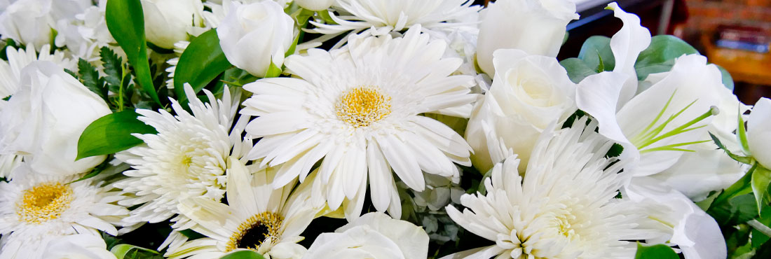 Significado das flores nos velórios